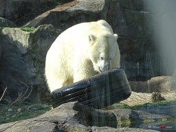 Tiergarten Schönbrunn am 23.03.2023